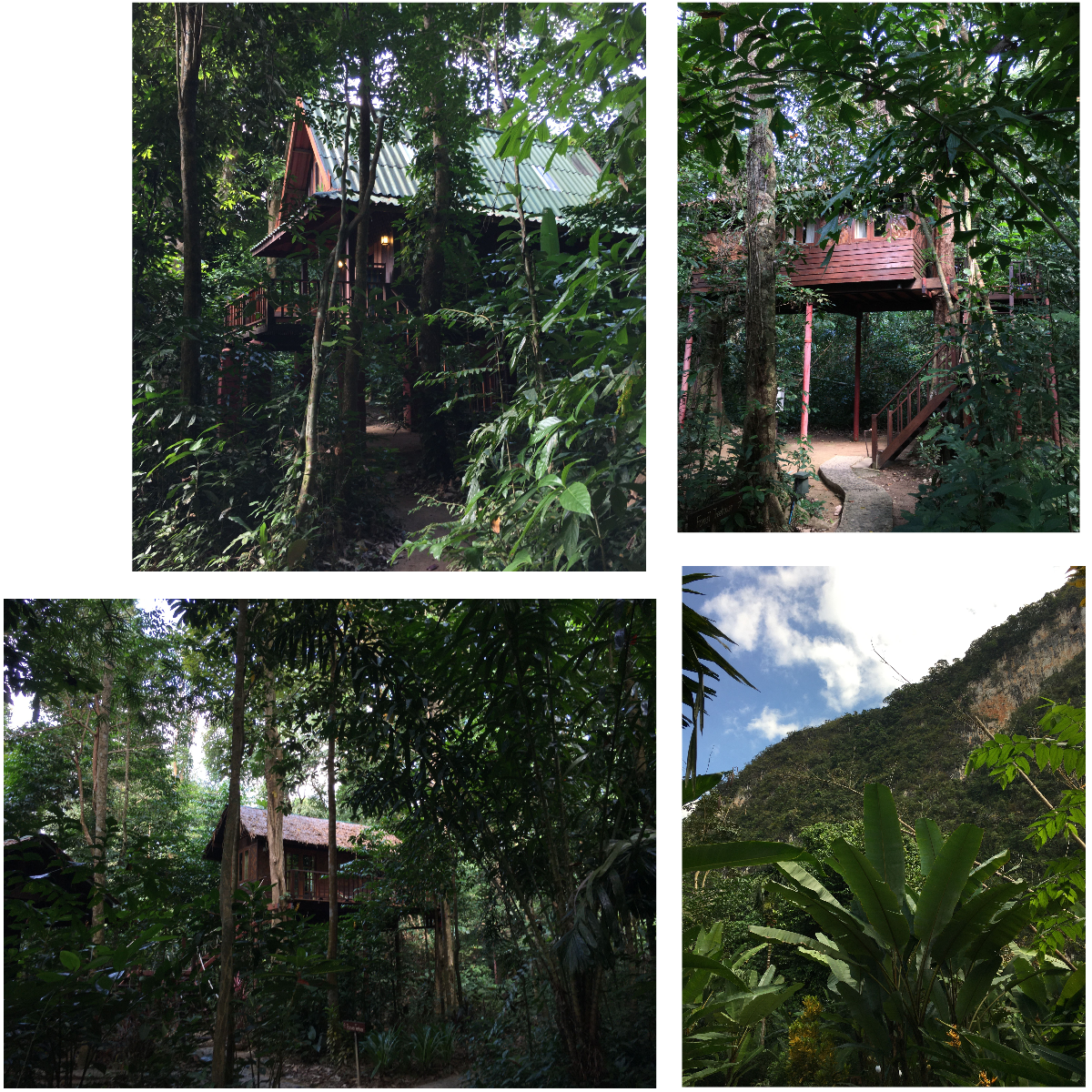 Baunhaus Übernachtung Khao Sok