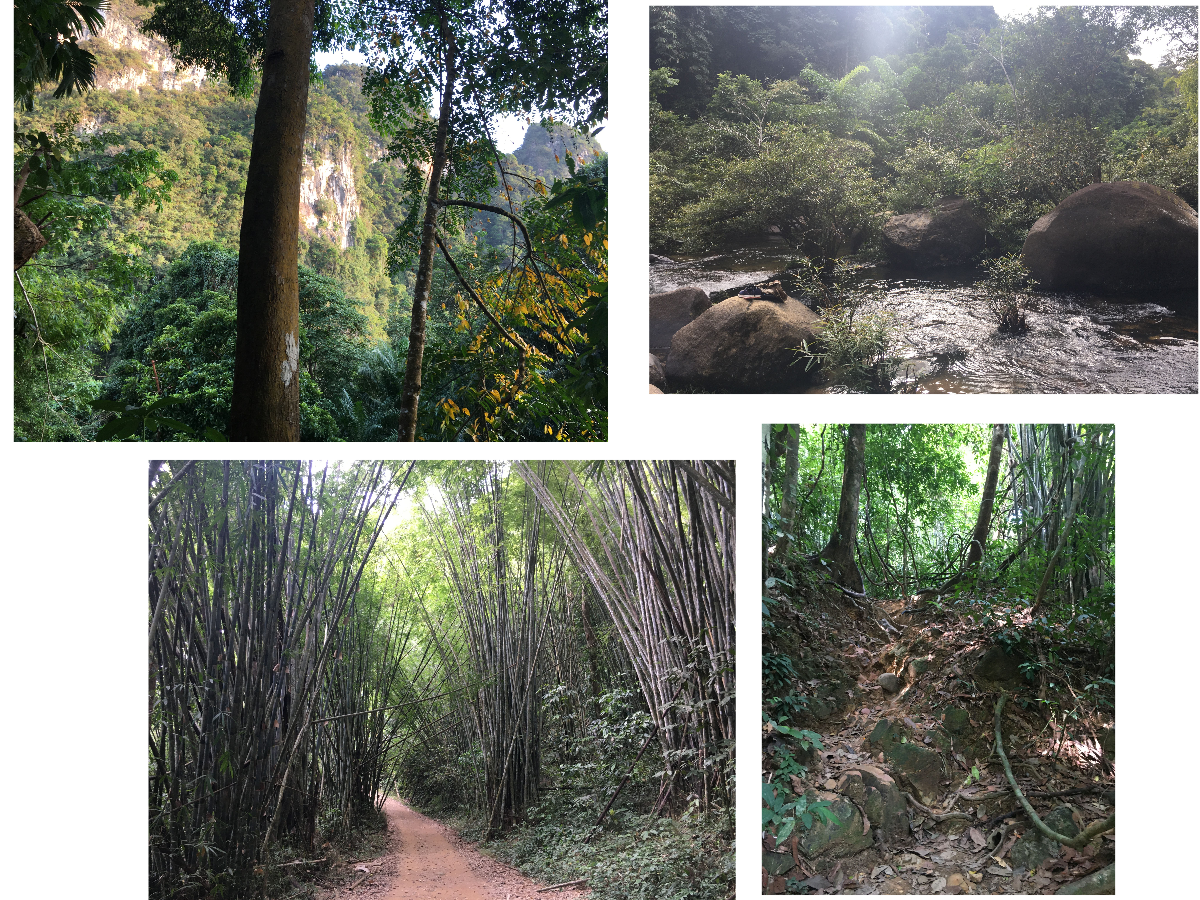 Khao Sok Nationalpark